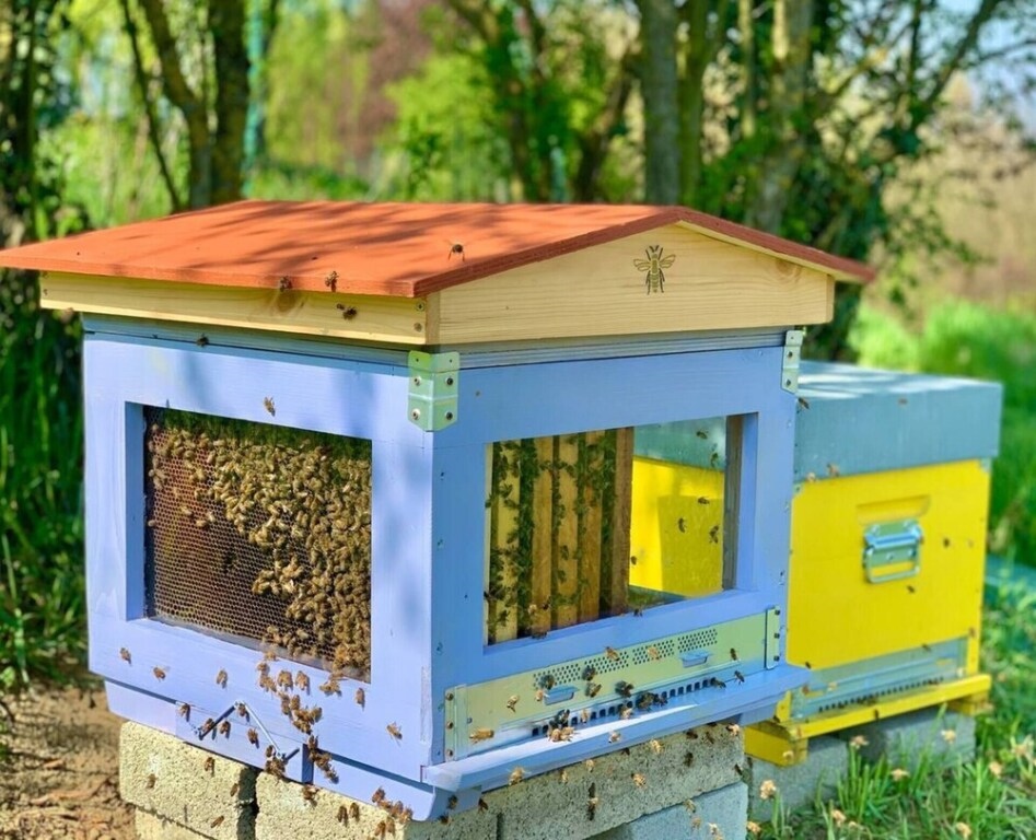 Pet Friendly Country House for all in Moncalvo