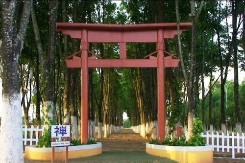 Beach World Park - Rio Preto