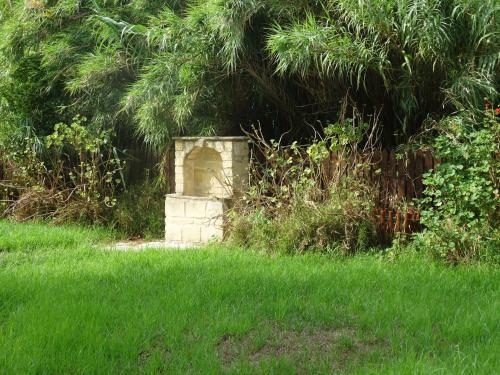 Palm Tree Oriental House And Homestay