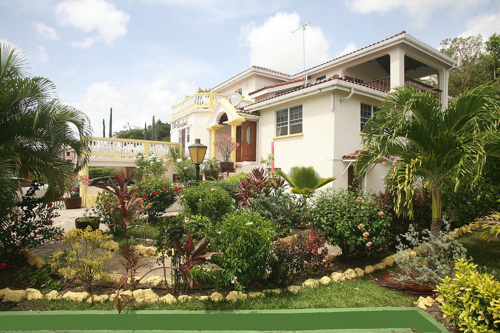 Palm Paradise Guest House And 2 Apartments