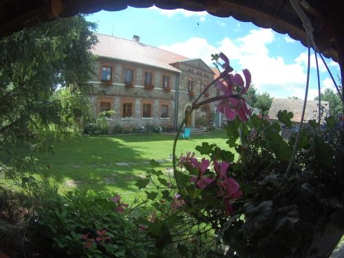 Polana