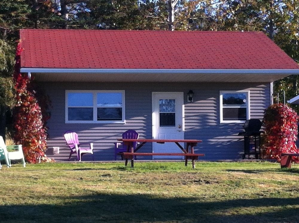 Rocky Shores and Seals Cottages