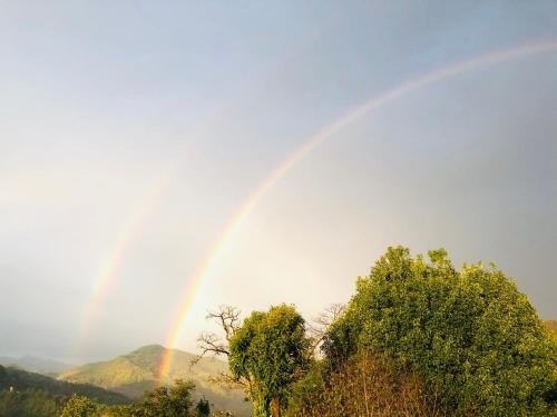 Robin's Nest Hotel & Restaurant