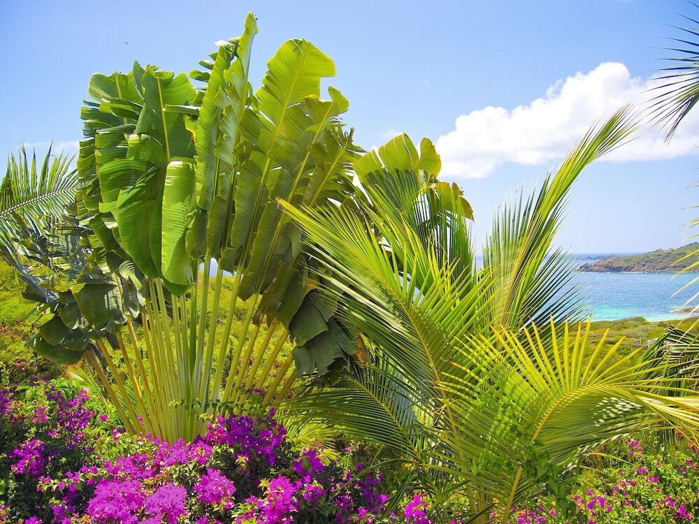 Sea La Vie By Redawning