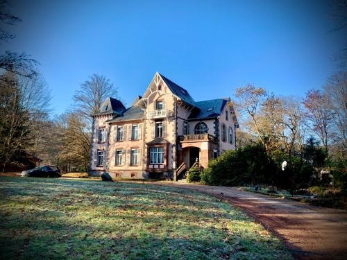 Demoiselle Des Roches