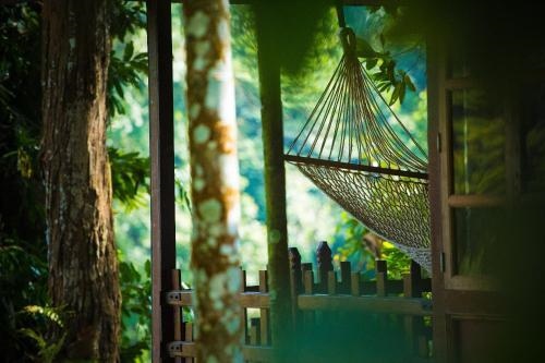 Shanthi Kunnj Homestay