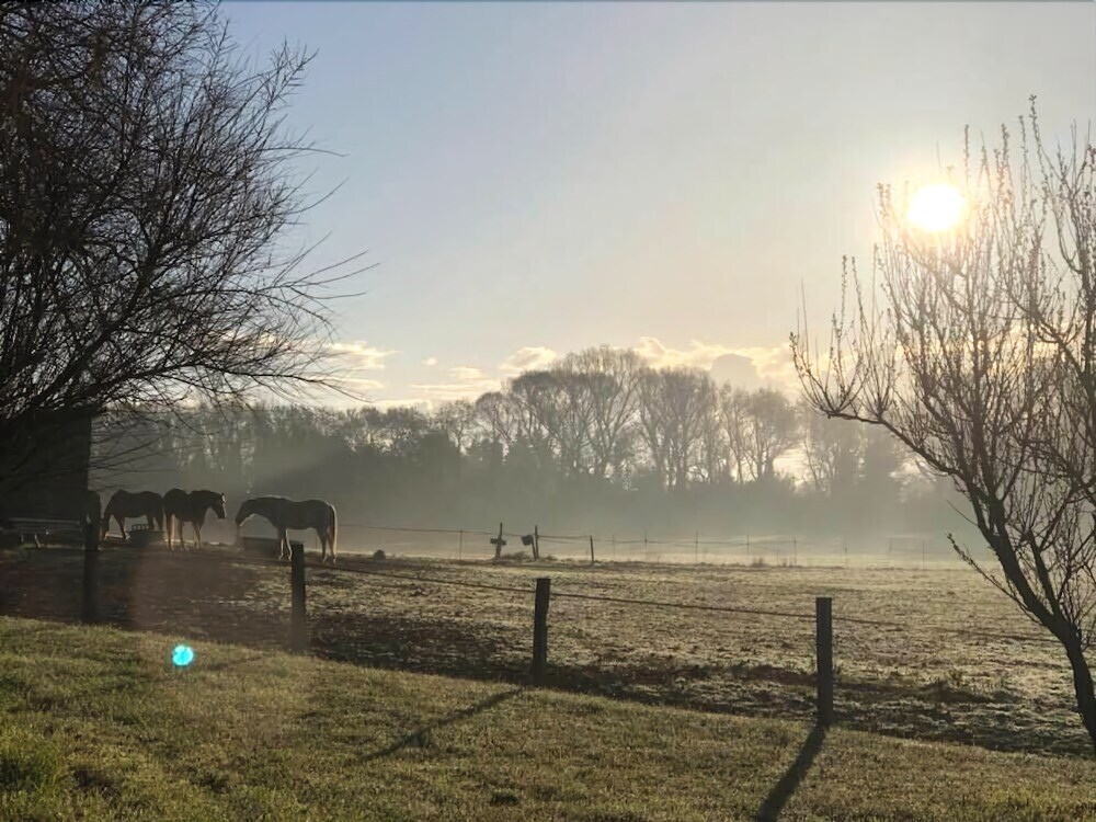 Studio Duplex Bleu De Toi Adults Only