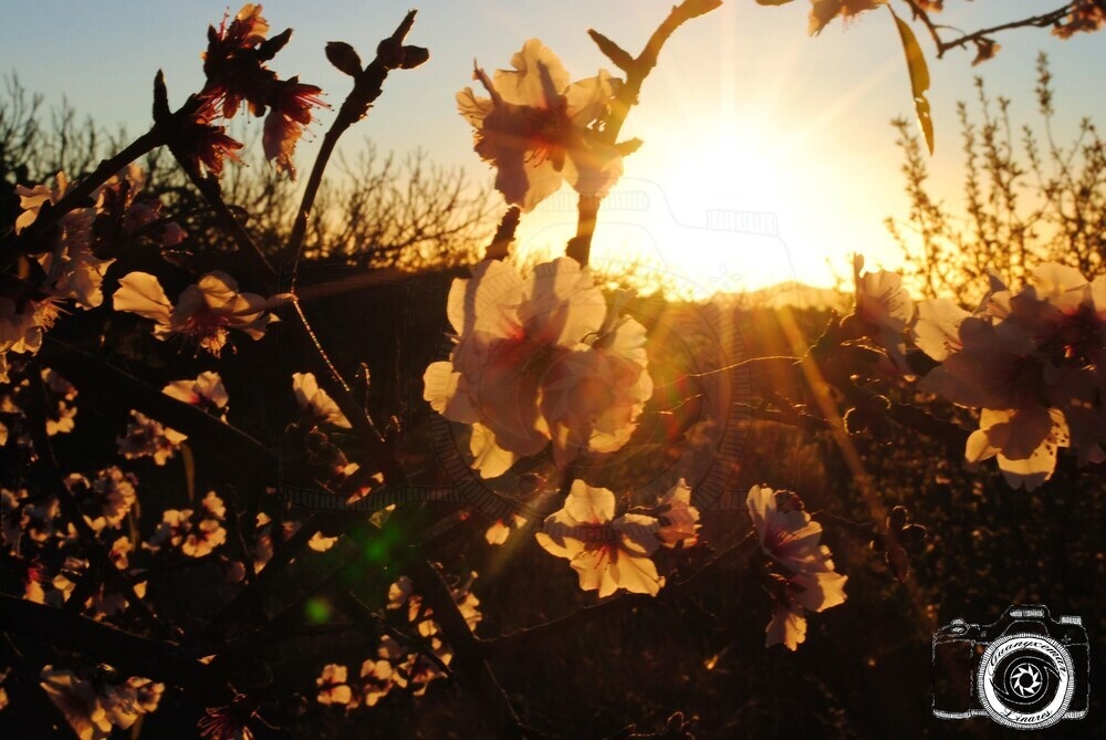 Studio In El Tanque, With Enclosed Garden And Wifi - 10 Km From The Beach