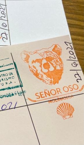 Senor Oso