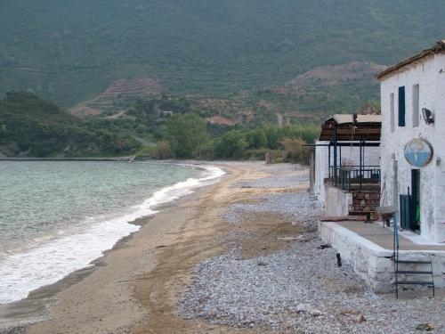 Thalis Rooms and Studios