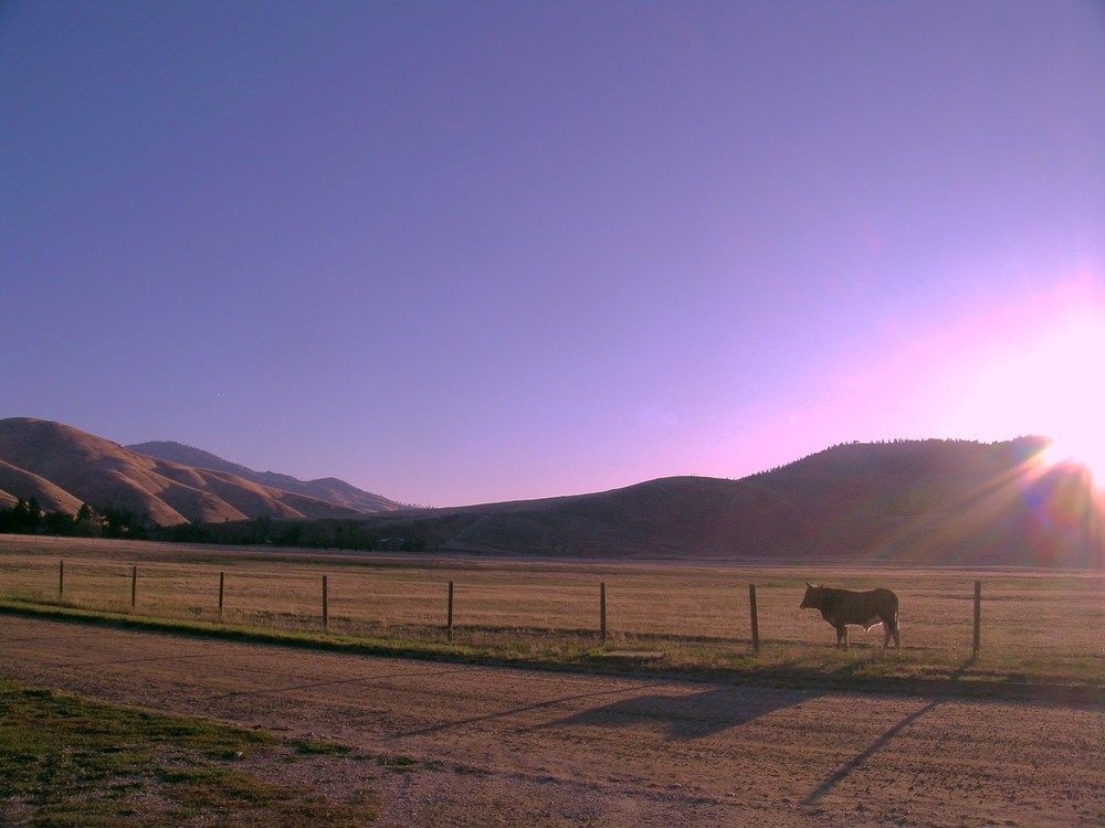 The Darby Bed and Breakfast