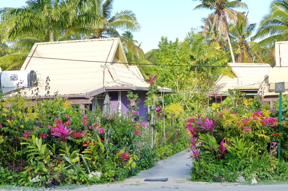 The Friendly Islander (Papiloa's)