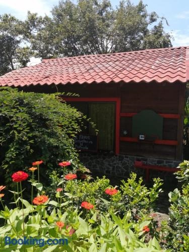 The House Of Hummingbird