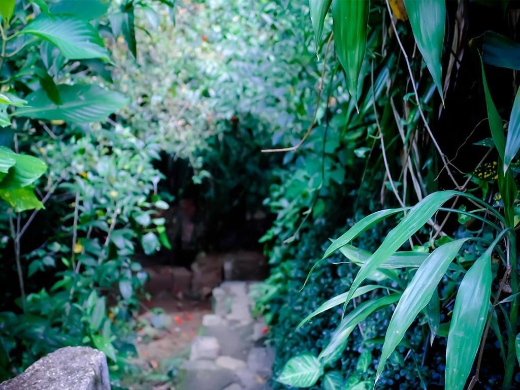 Surrey Bird Sanctuary & Holiday Resort