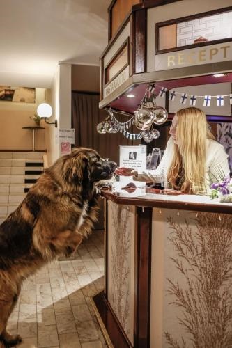 Hotelli Tarjanteen majoitushuoneet Virrat