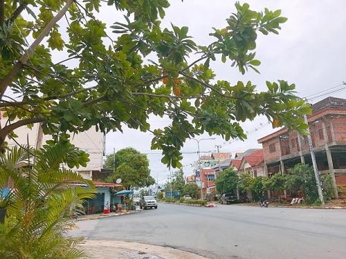 Thanh Nga Guesthouse