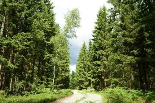 The Morrum River Bed and Breakfast