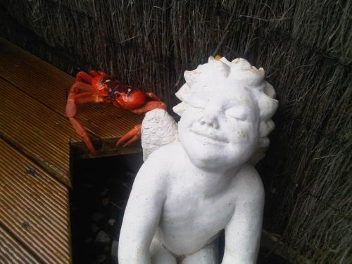 The Sanctuary Adult Retreat Christmas Island