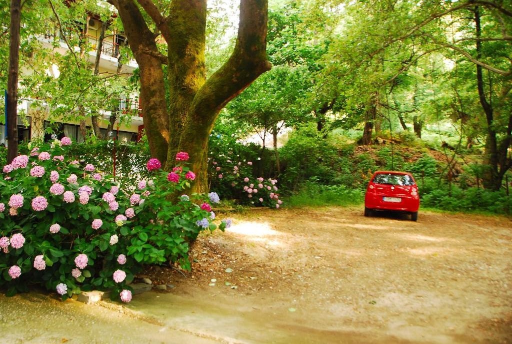 Tasoula Parselia Rooms