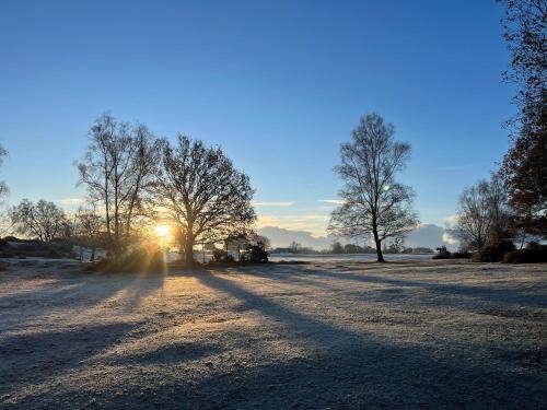 Forest Side Guesthouse