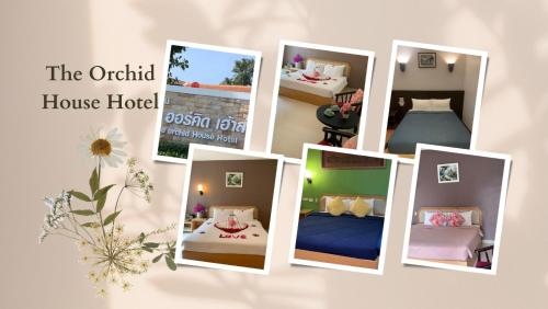 The Orchid House Hotel
