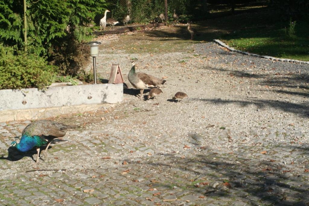 Le Chateau De Tromcourt