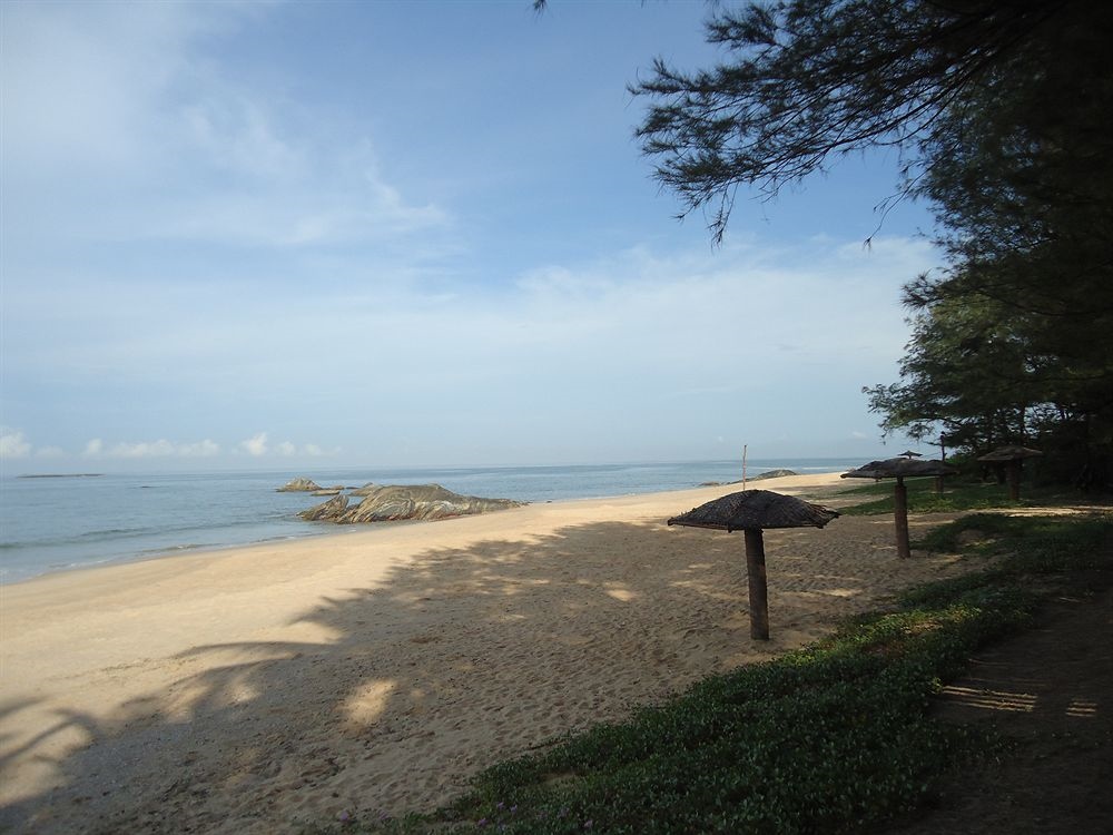 JuSTa Turtlebay On Sea