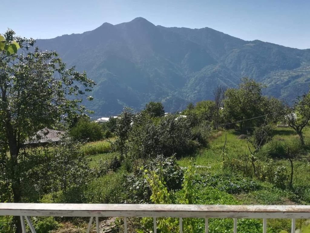 Txilaziri Guest House