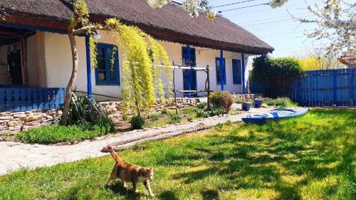 Traditional House In Danube Delta