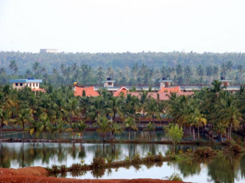 United-21 Island Paradise Hotel