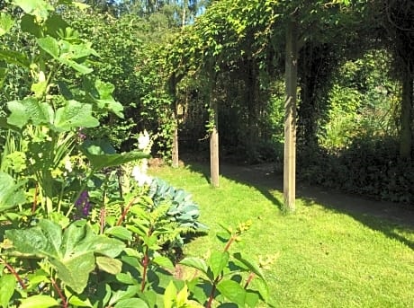 Trustwood Bed and Breakfast