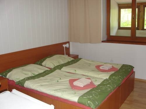 Vila Zelený Dom - Green House