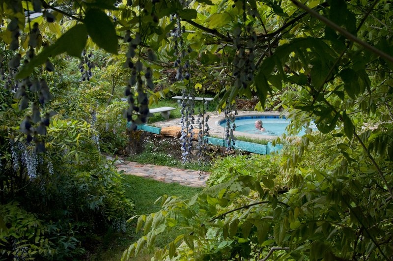 Vichy Springs Resort