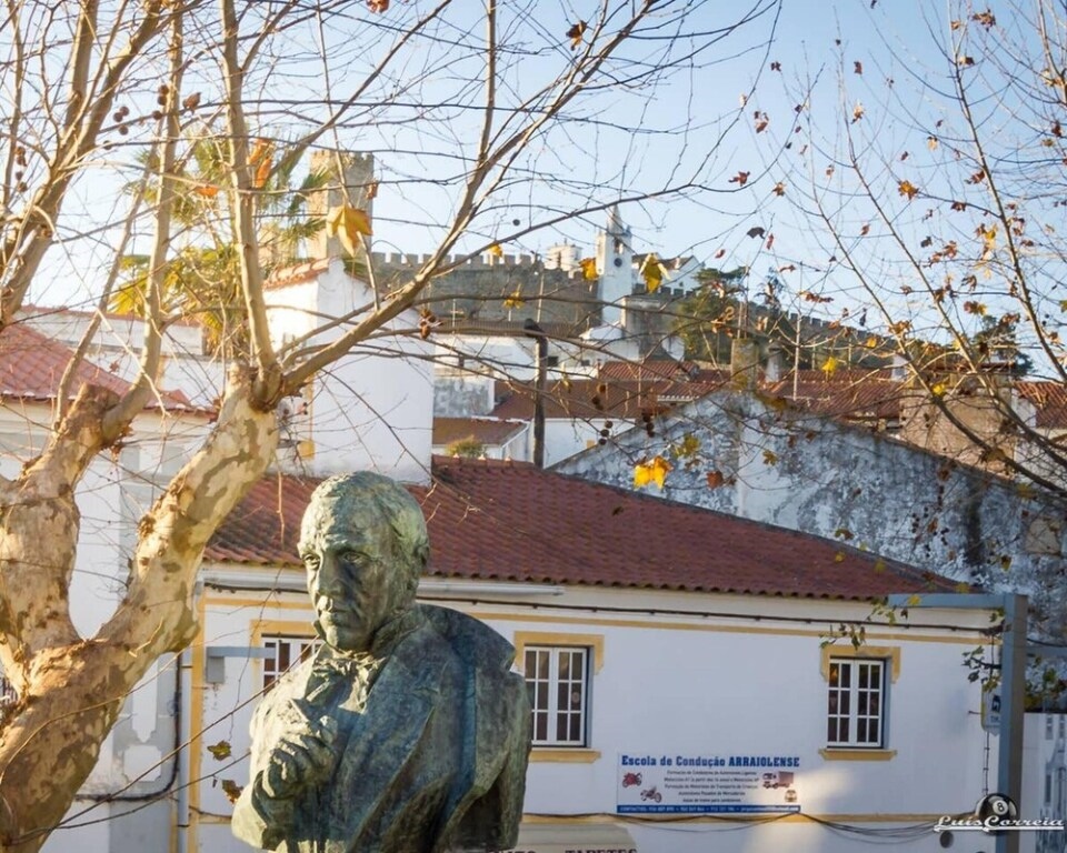 House With 2 Bedrooms In Arraiolos, With Enclosed Garden And Wifi