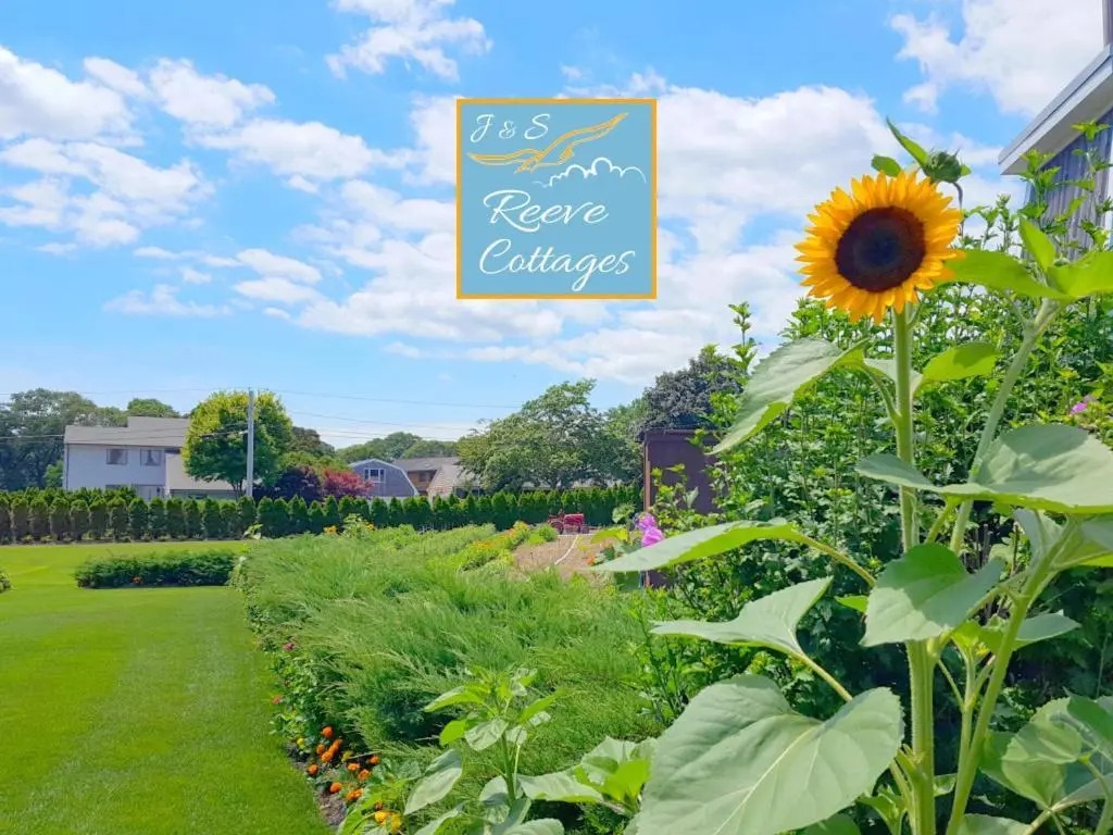 Waterfront Cottage 6