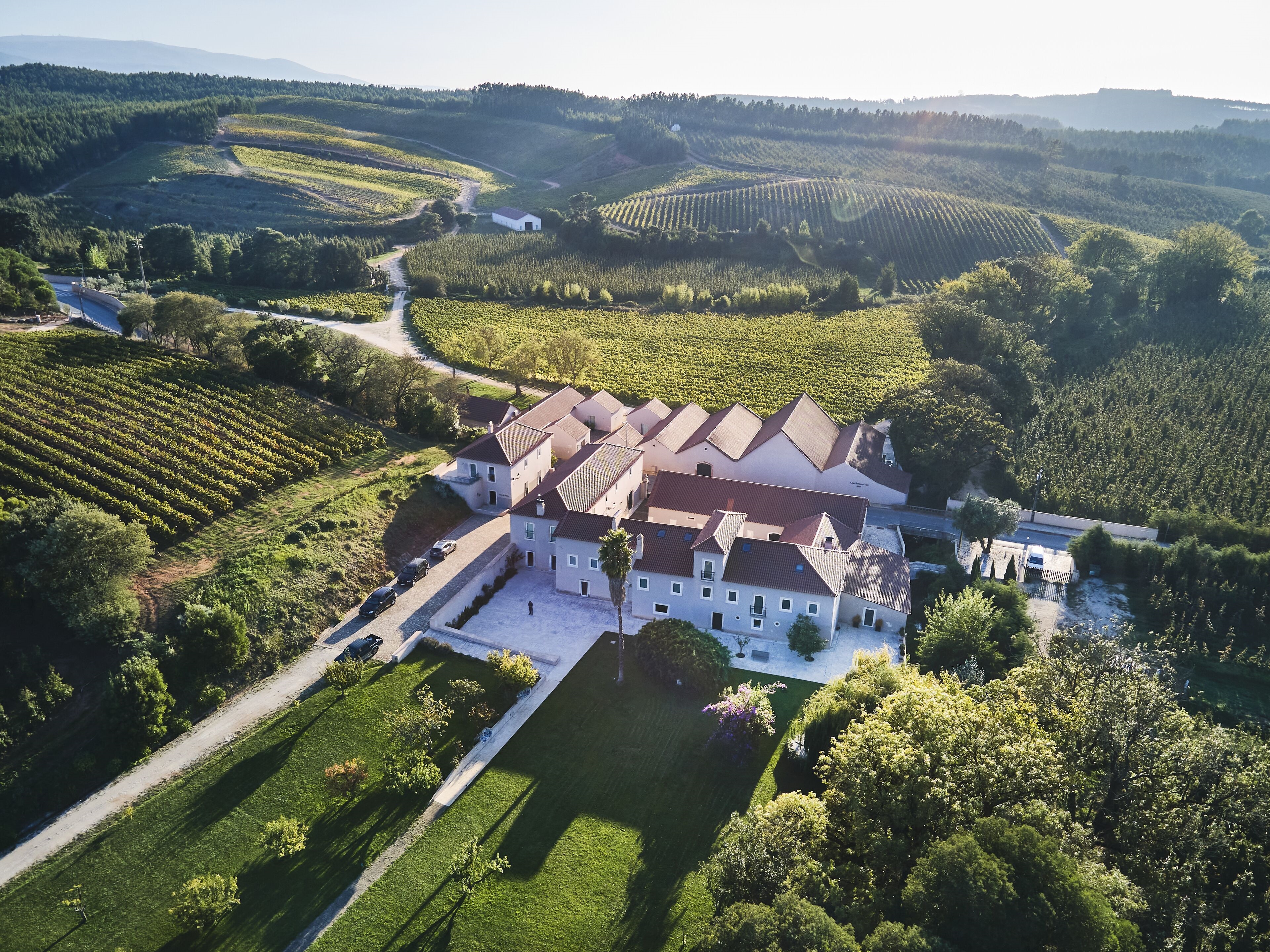 Romana Vini Hotel | Quinta do Porto Nogueira - Adults Only