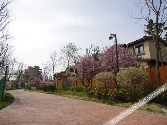 Yanling Bloom Hot Spring Hotel