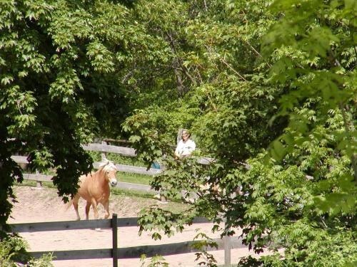 Residence Zauberberg