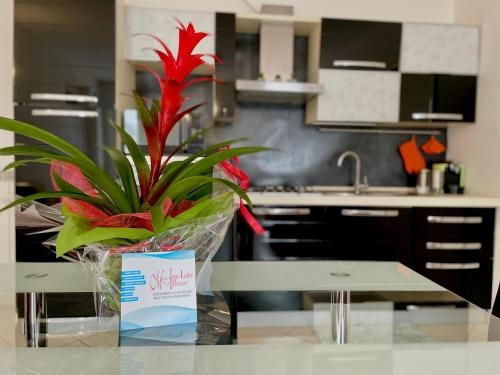 Wine & Lake In Franciacorta