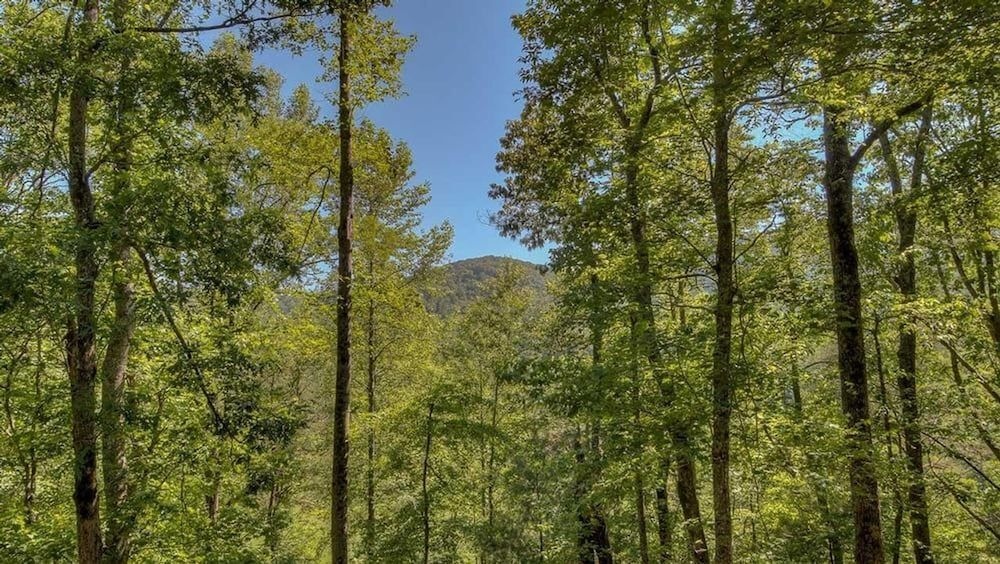 Winding Log Ridge By Escape To Blue Ridge