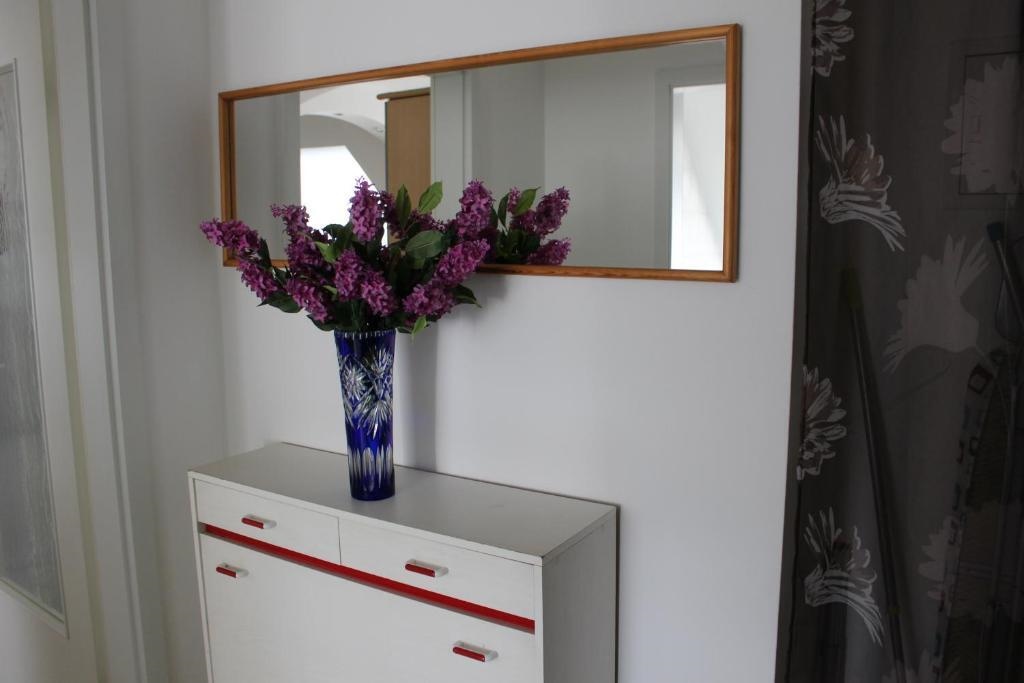 ZV-Scholtz Burghausen Wacker Straße 78