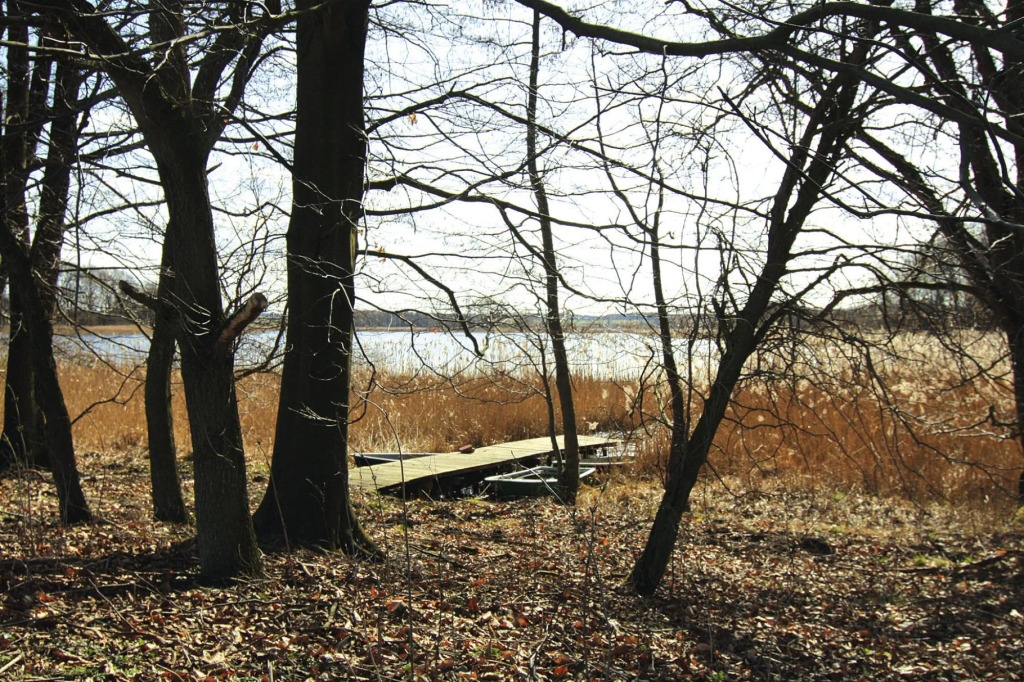 Ferienwohnung in Lohmen