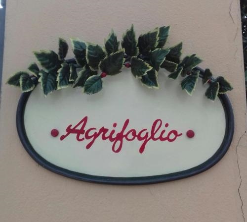 Agrifoglio