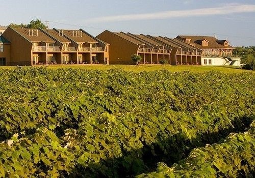 The Inn At Glenora Wine Cellars