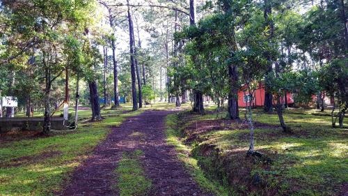 Cabañas Bosque Llano De La Virgen