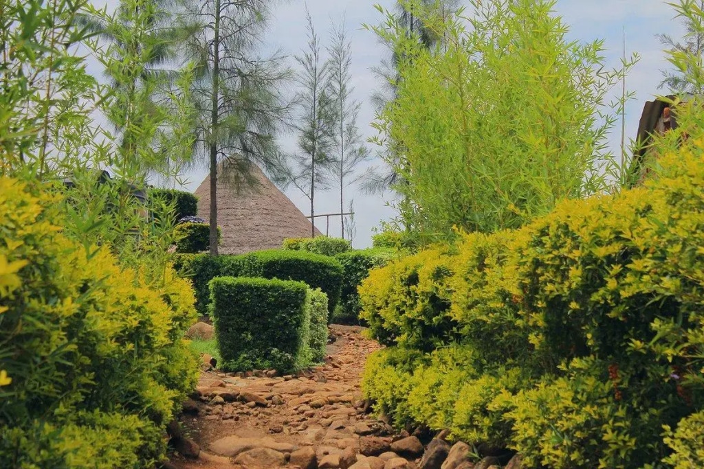 Nguge Hills Lodge & Wellness Retreat