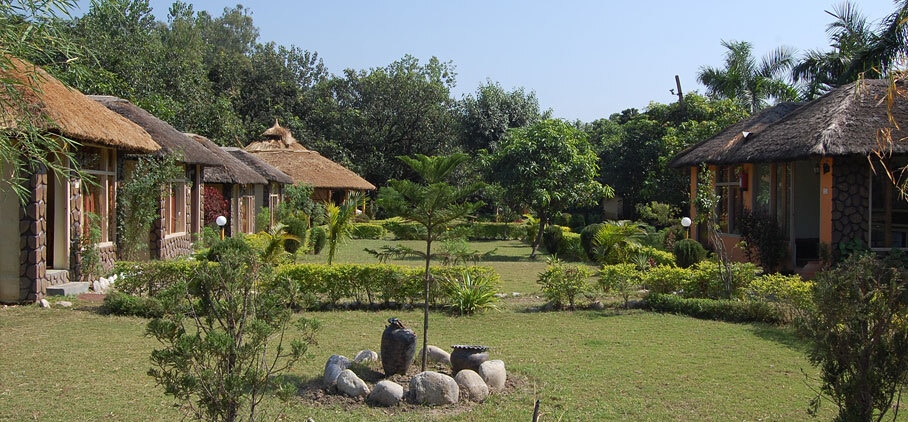 Jungle Paradise Hotel