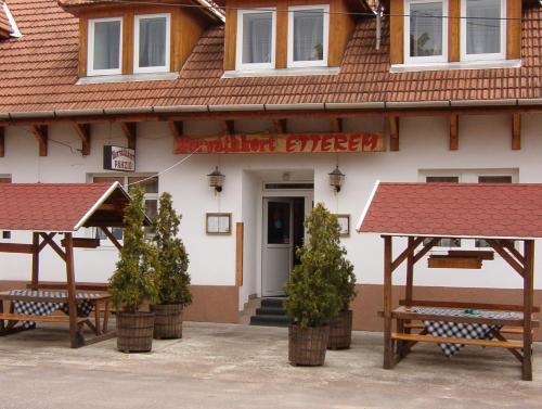 PATAKPARTI VENDeGHaZ