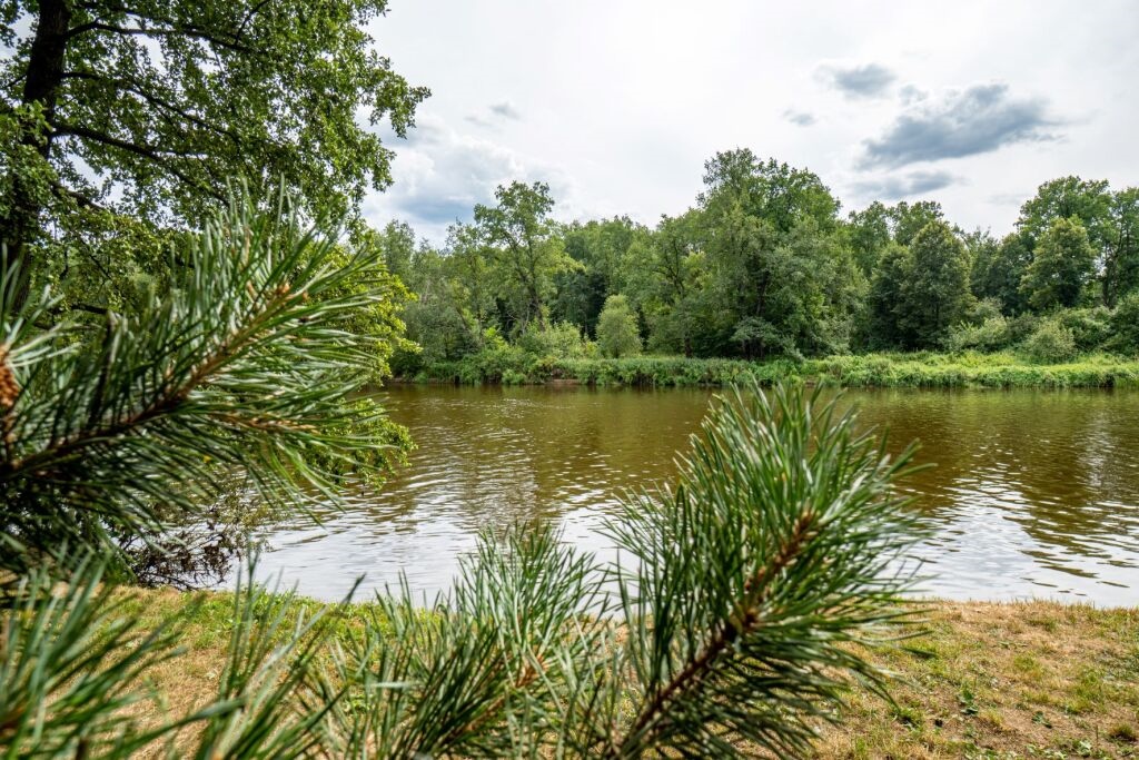 Sanatoriy Russkiy Les