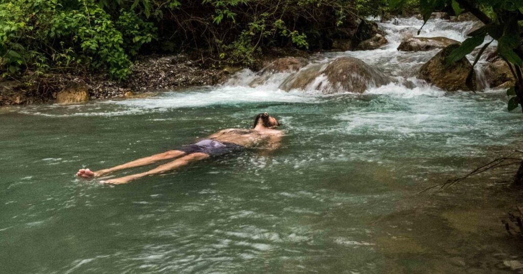 Rishikesh Valley Hotel